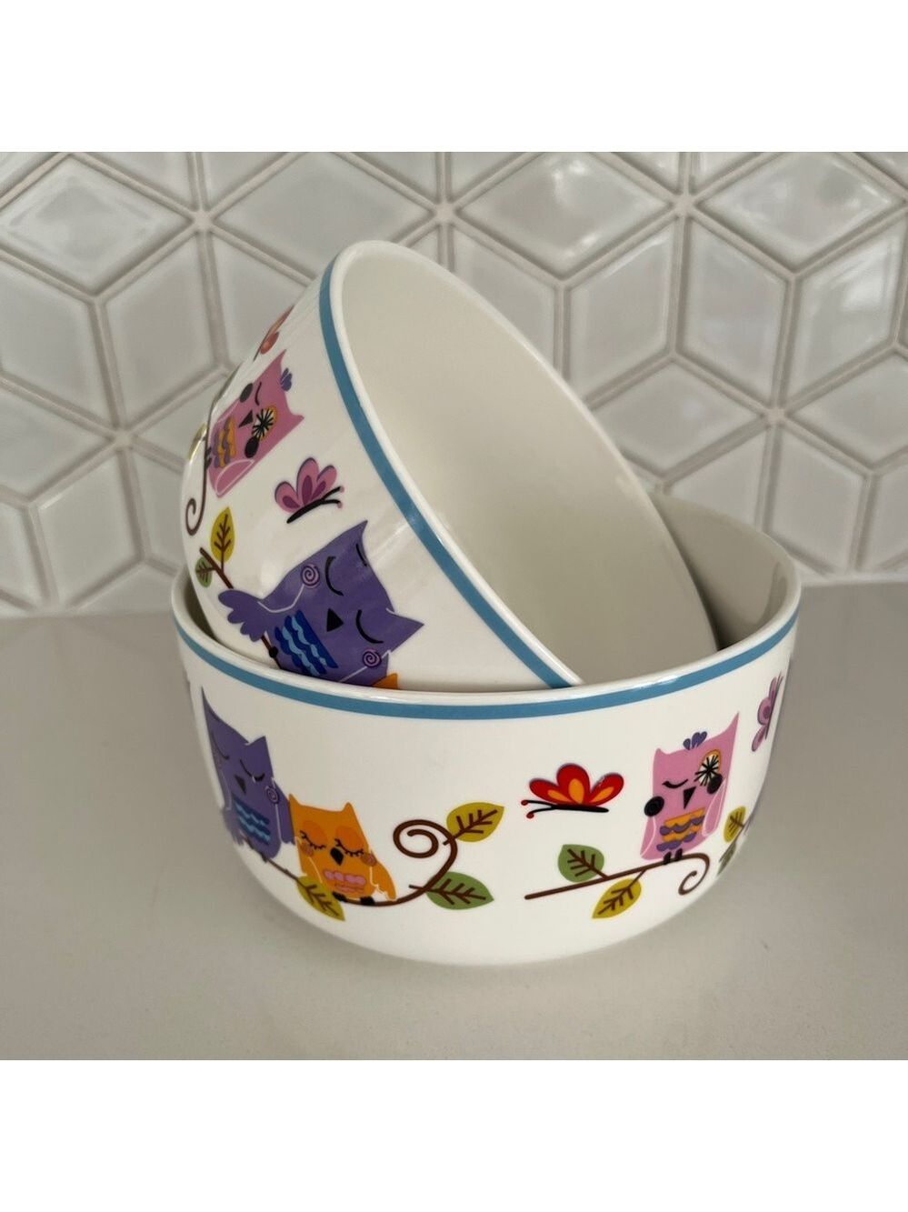 CIROA Set of 2 Bowls Owl Butterfly Design Fine Porcelain  Woodland Whimsical